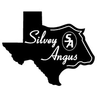 Silvey Angus logo, Silvey Angus contact details