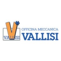 Vallisi s.r.l. logo, Vallisi s.r.l. contact details