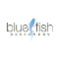 BlueFish Designery logo, BlueFish Designery contact details