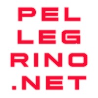 Pellegrino.Net logo, Pellegrino.Net contact details