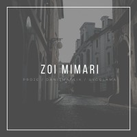 ZOI MIMARI logo, ZOI MIMARI contact details