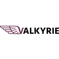 Valkyrie Digital Marketing logo, Valkyrie Digital Marketing contact details