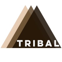 TRIBAL in Education logo, TRIBAL in Education contact details