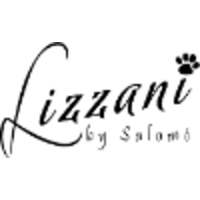 Lizzani logo, Lizzani contact details