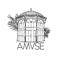 AMVSE STUDIO logo, AMVSE STUDIO contact details