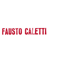 FAUSTO CALETTI logo, FAUSTO CALETTI contact details