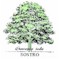 Osnovna šola Sostro logo, Osnovna šola Sostro contact details