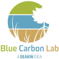 BlueCarbonLab logo, BlueCarbonLab contact details