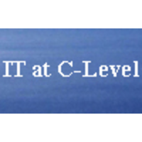 IT at C-Level, LLC logo, IT at C-Level, LLC contact details