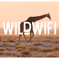 WildWifi logo, WildWifi contact details