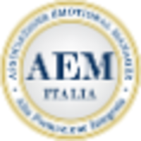 AEM Italia logo, AEM Italia contact details