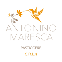 Antonino Maresca S.R.L.s logo, Antonino Maresca S.R.L.s contact details