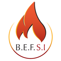 BEFSI - Bureau d'Etudes Français en Sécurité Incendie logo, BEFSI - Bureau d'Etudes Français en Sécurité Incendie contact details