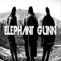 Elephant Gunn logo, Elephant Gunn contact details