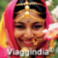 Viaggindia® Tour Operator logo, Viaggindia® Tour Operator contact details