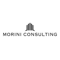 Morini Consulting logo, Morini Consulting contact details