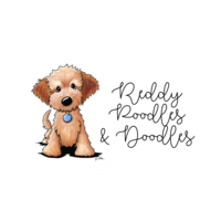 Reddy Poodles & Doodles logo, Reddy Poodles & Doodles contact details