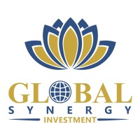 GSI Holding logo, GSI Holding contact details