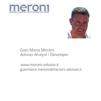 Meroni Adviser & Development Software logo, Meroni Adviser & Development Software contact details