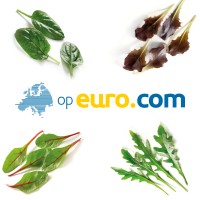 Op Euro.Com logo, Op Euro.Com contact details