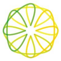 Lemon and Lime Digital logo, Lemon and Lime Digital contact details