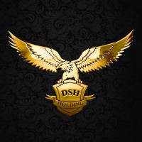 DSH Holding logo, DSH Holding contact details