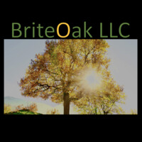 BriteOak logo, BriteOak contact details