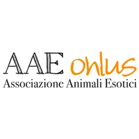 AAE Onlus - Associazione Animali Esotici logo, AAE Onlus - Associazione Animali Esotici contact details