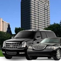 NorthEastern Limousine logo, NorthEastern Limousine contact details