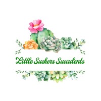 Little Suckers Succulents logo, Little Suckers Succulents contact details