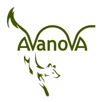 Avanova logo, Avanova contact details