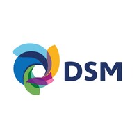 DSM Hungary logo, DSM Hungary contact details