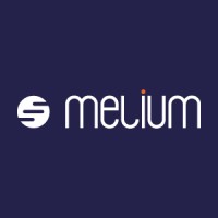 Melium Consulting logo, Melium Consulting contact details