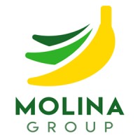 Molina Group Guatemala logo, Molina Group Guatemala contact details