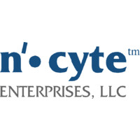 Ncyte Enterprises, a Nuvei Authorized Agent logo, Ncyte Enterprises, a Nuvei Authorized Agent contact details