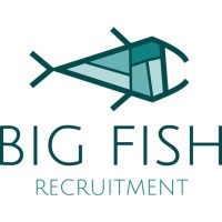 Big Fish Recruitment - BFR logo, Big Fish Recruitment - BFR contact details