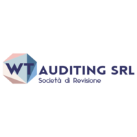 WT Auditing Srl logo, WT Auditing Srl contact details