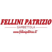 Fellini Patrizio Srl logo, Fellini Patrizio Srl contact details