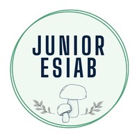 JUNIOR ESIAB logo, JUNIOR ESIAB contact details