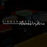 Vismara Attilio srl logo, Vismara Attilio srl contact details