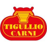 TIGULLIO CARNI logo, TIGULLIO CARNI contact details