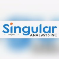 Singular Analysts INC logo, Singular Analysts INC contact details