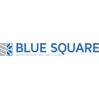 BLUE SQUARE ENVIRONMENTAL SERVICES LTD logo, BLUE SQUARE ENVIRONMENTAL SERVICES LTD contact details