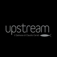 Upstream - Il salmone di Claudio Cerati logo, Upstream - Il salmone di Claudio Cerati contact details