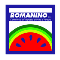 ROMANINO S.R.L. logo, ROMANINO S.R.L. contact details