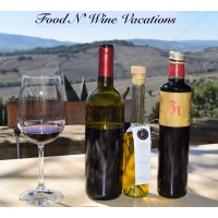 Food N' Wine Vacations logo, Food N' Wine Vacations contact details