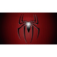 Spider's Web logo, Spider's Web contact details