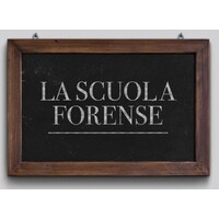 Scuola Forense Torino logo, Scuola Forense Torino contact details