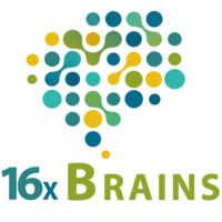 16xBrains logo, 16xBrains contact details