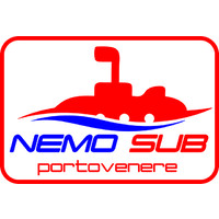 NEMOSUB s.r.l. logo, NEMOSUB s.r.l. contact details